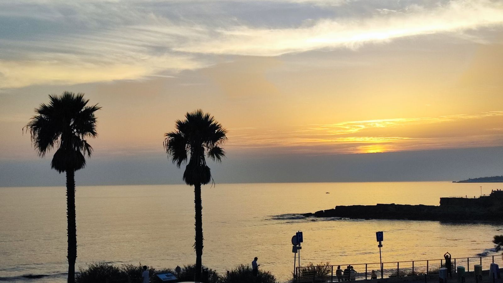 Dos palmeras recortadas contra el mar al atardecer