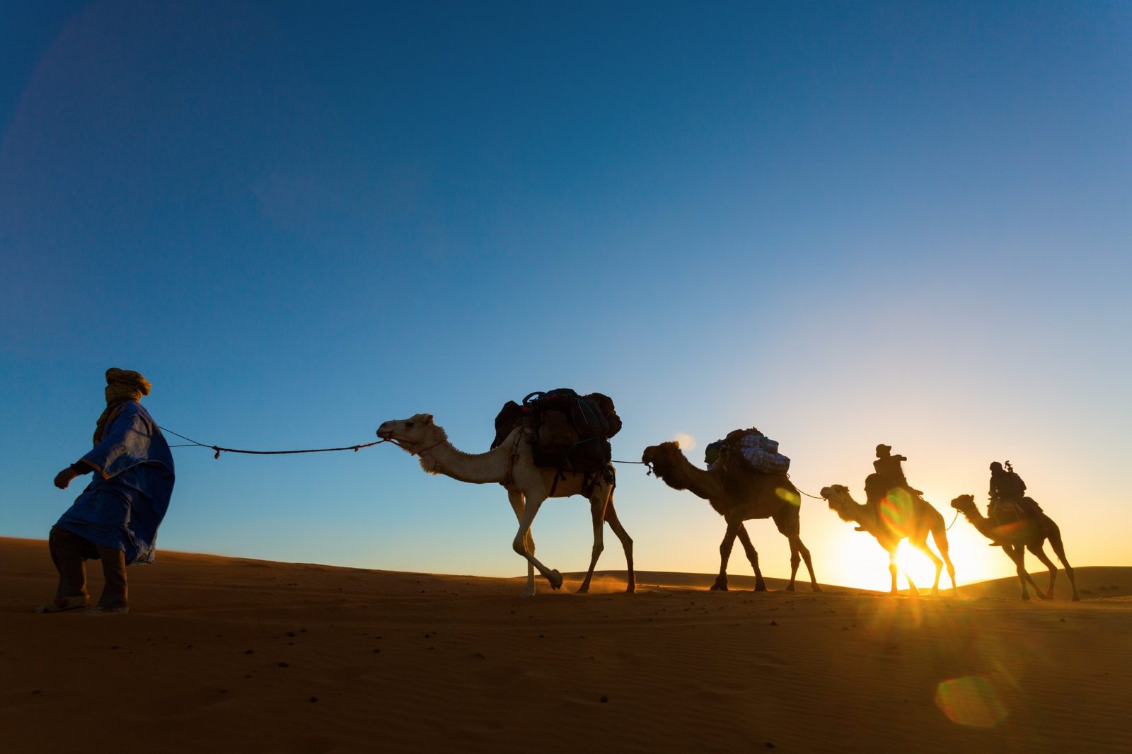 A camel caravan led across the dunes at sunset